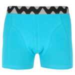 Vuch Pánské boxerky Vuch tyrkysové (Caleton) L