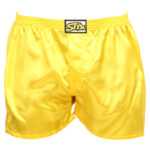 Styx Pánské trenky Styx klasická guma saténové žluté (C1068) S