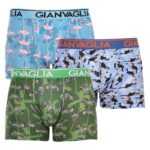 Gianvaglia 3PACK pánské boxerky Gianvaglia vícebarevné (GVG-5501) XL