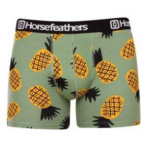 Horsefeathers Pánské boxerky Horsefeathers Sidney Pineapple (AM164G) XL