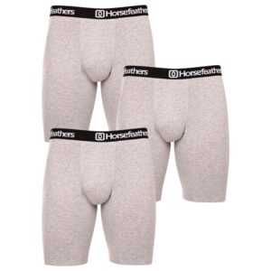 Horsefeathers 3PACK pánské boxerky Horsefeathers Dynasty long (AM195C) S