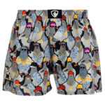 Represent Pánské trenky Represent exclusive Ali godfeather election (R3M-BOX-0617) M