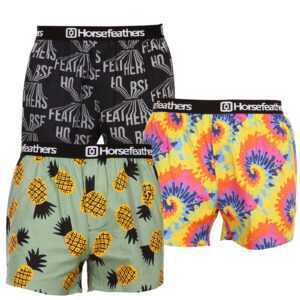 Horsefeathers 3PACK pánské trenky Horsefeathers Frazier (AM166BCD) XXL