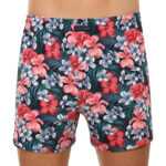 Cornette Pánské trenky Cornette Classic vícebarevné (001/136) L