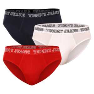 Tommy Hilfiger 3PACK pánské slipy Tommy Hilfiger vícebarevné (UM0UM02849 0T6) M