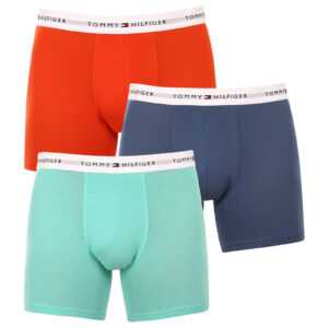 Tommy Hilfiger 3PACK pánské boxerky Tommy Hilfiger vícebarevné (UM0UM02941 0S1) M