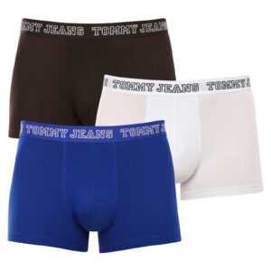 Tommy Hilfiger 3PACK pánské boxerky Tommy Hilfiger vícebarevné (UM0UM02850 0TV) XXL