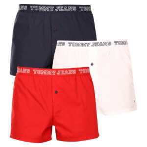 Tommy Hilfiger 3PACK pánské trenky Tommy Hilfiger vícebarevné (UM0UM02863 0T6) XXL