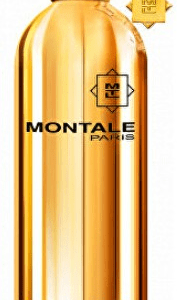 Montale Dark Aoud - EDP - TESTER 100 ml