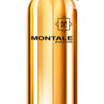 Montale Dark Aoud - EDP 100 ml