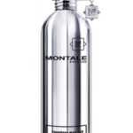 Montale Fougeres Marines - EDP 100 ml