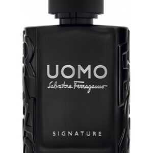 Salvatore Ferragamo Uomo Signature - EDP 100 ml