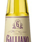 Galliano 0