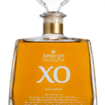 Kleiner Apricot XO 7y 0